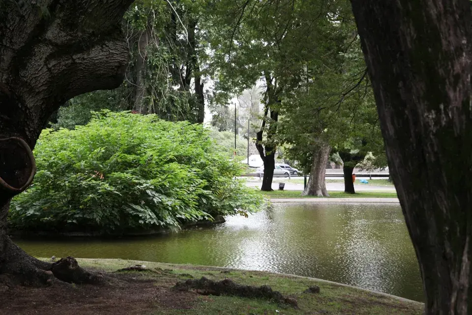 A lo largo de sus ocho hectáreas se pueden apreciar los distintos tipos de plantas y árboles, y el lago que, pese a la numerosa cantidad de visitas que recibe, conserva su belleza