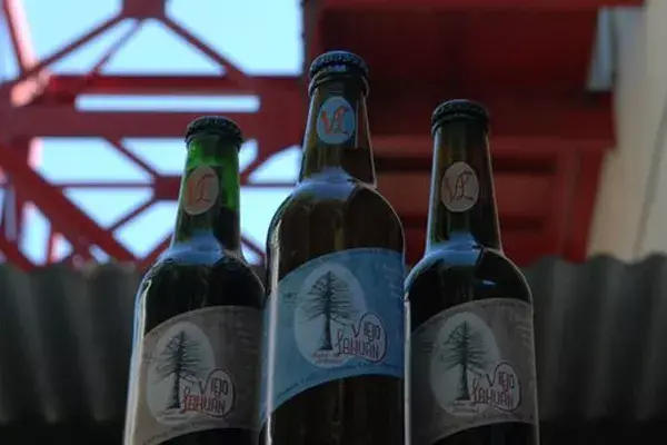 Una opción sustentable para regalar en estas fiestas