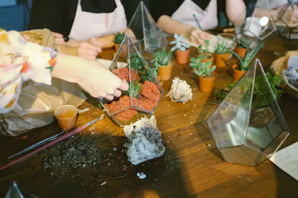 Un refrán que también aplica a las plantas: más vale prevenir que curar.