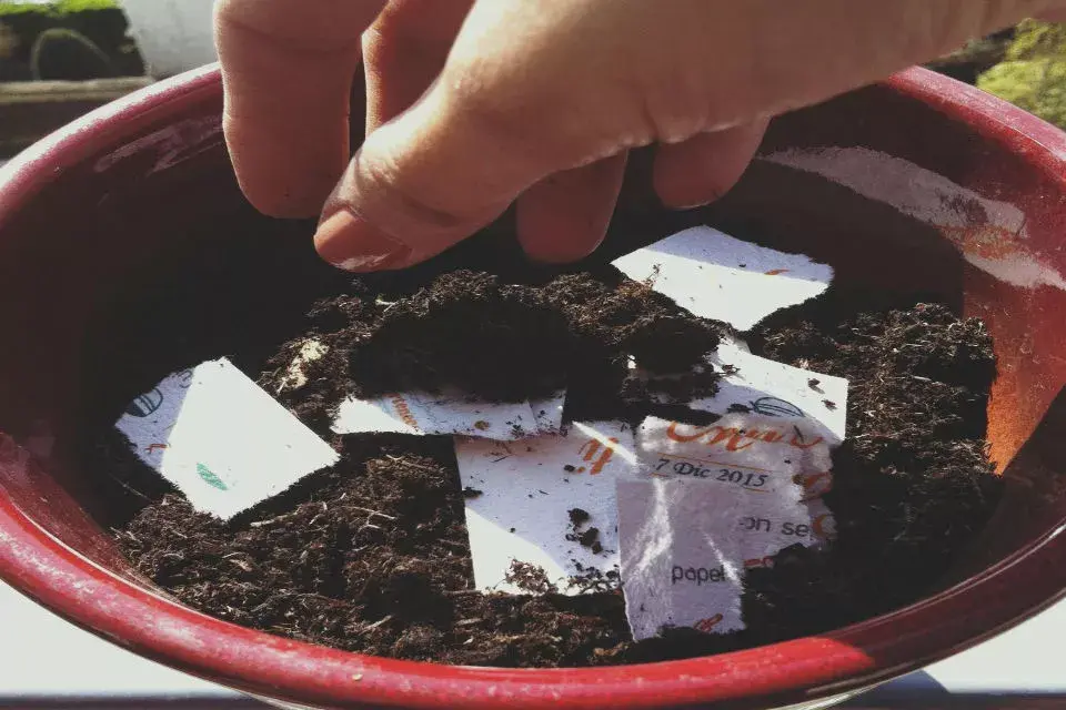 Comienza con una planta que se transforma en papel que se recicla y se vuelve planta.