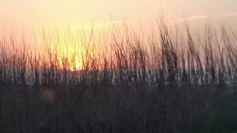 Atardecer cordobés.