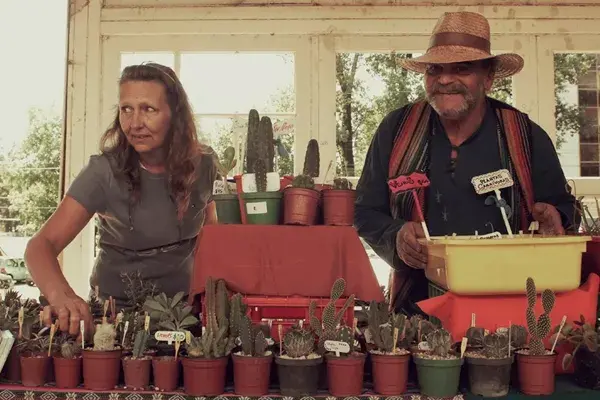 Una opción sustentable para regalar en estas fiestas