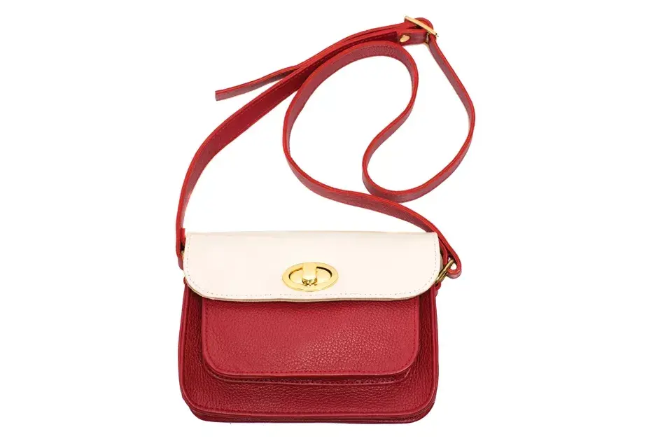 Bandolera bicolor (Ferraro, $1250)