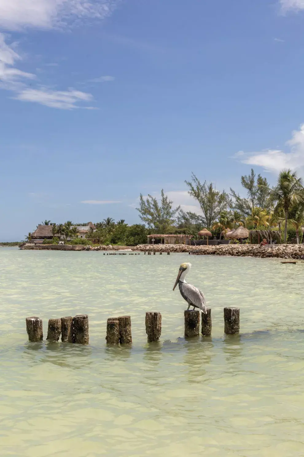 Al estar prácticamente vacía, Holbox es ideal para relajarte con pocos estímulos y mucha naturaleza