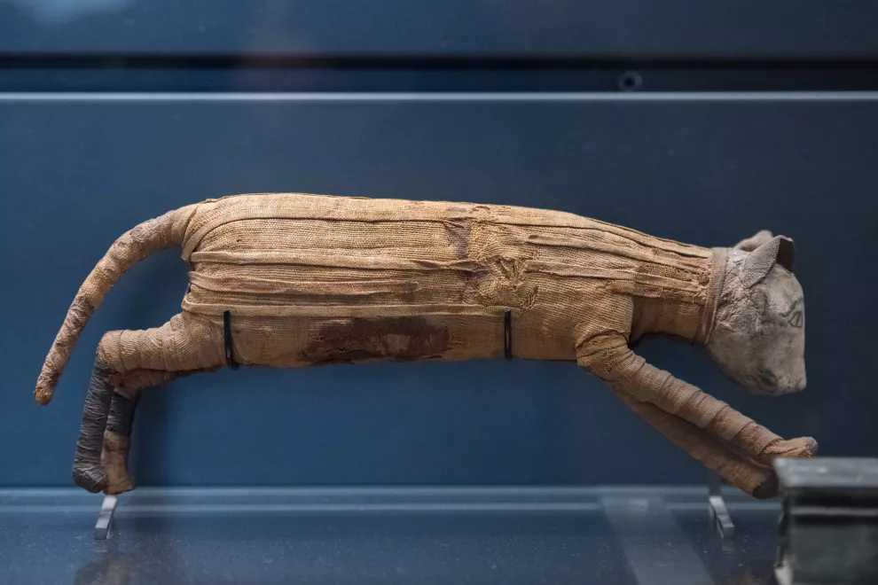 Una momia de Egipto, parte del enigma