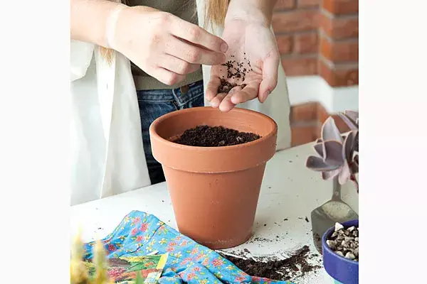 No olvides el control de la humedad y el aireado del compost