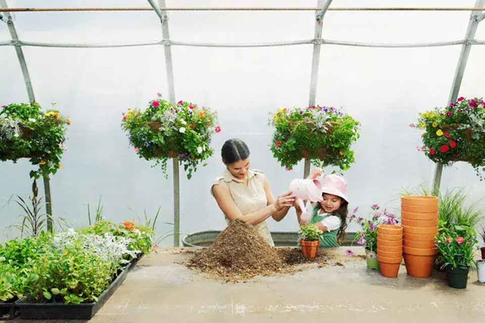 Mezclá la tierra abonada con compost orgánico para el sustrato