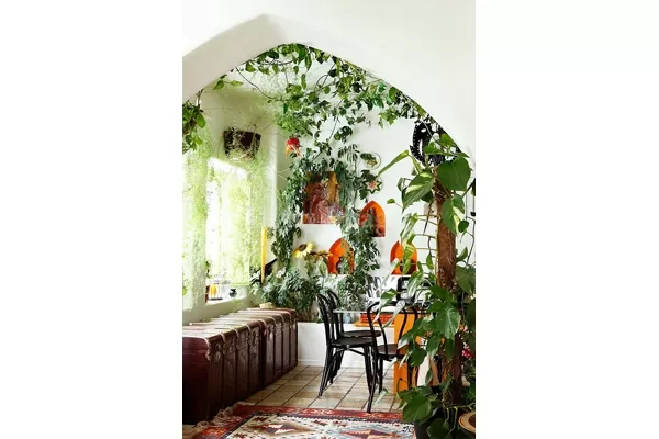 Las plantas colgantes también sirven para interiores