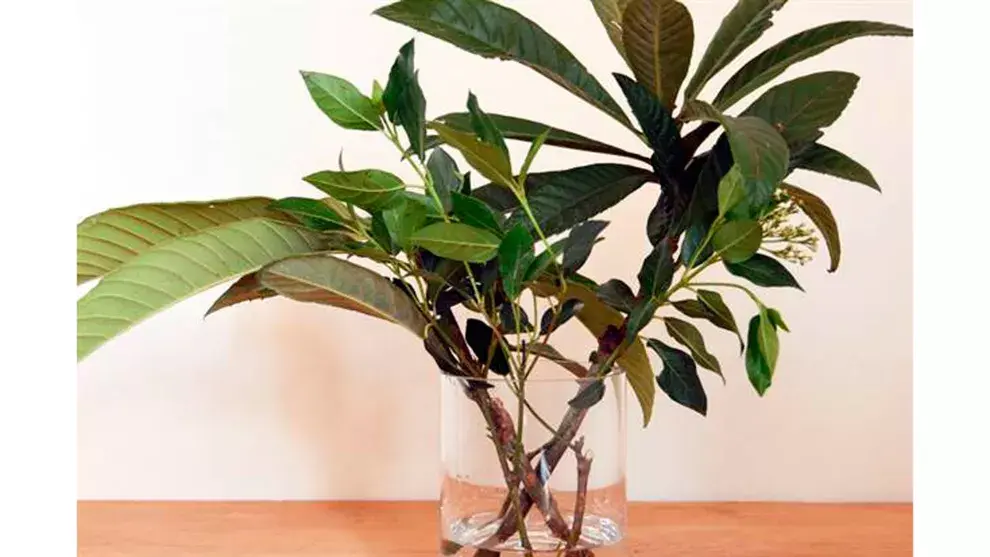 Para ubicar las flores elegidas dentro del florero comenzá a colocar el follaje (Paso 4)