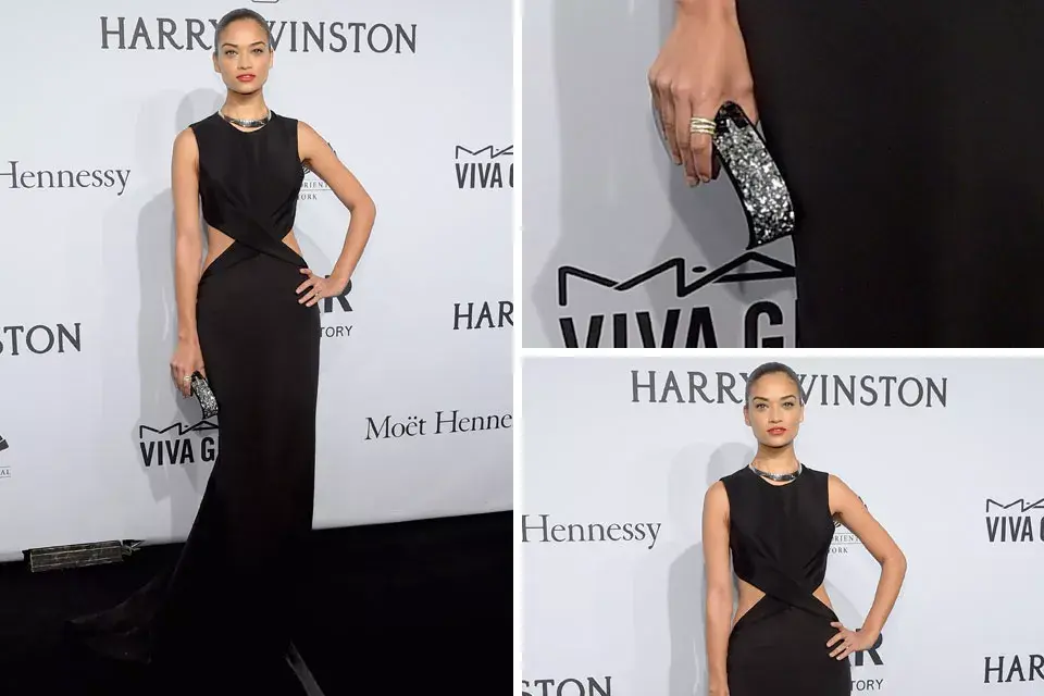 Shanina Shaik optó por un diseño cut out en color negro y clutch con brillos en color plata