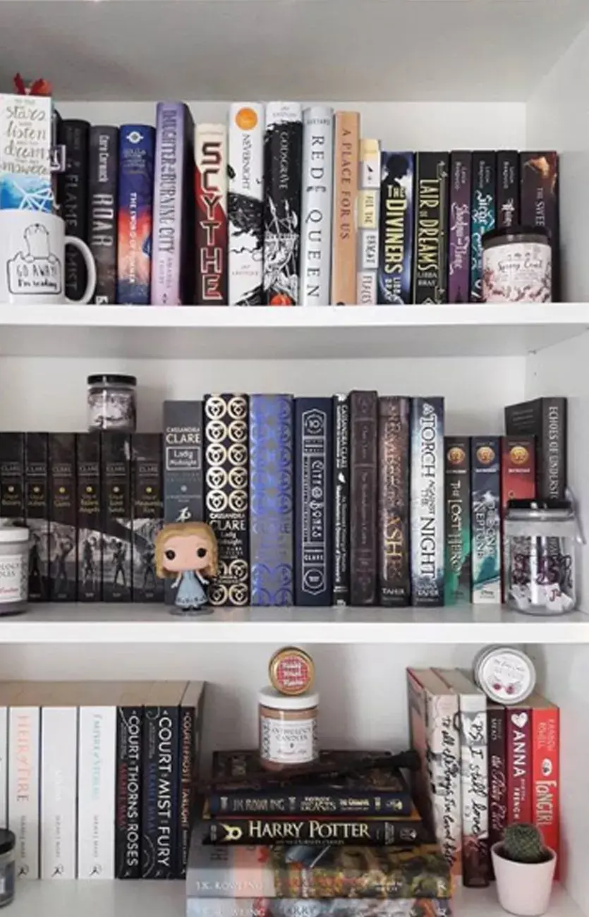 Una típica #shelfie de libros.
