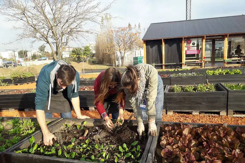 El trabajo de una huerta agroecológica que desarrolla como demostración el movimiento Slow Food Argentina.