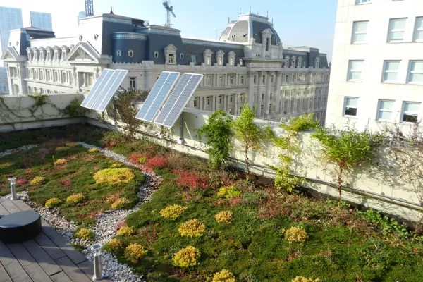 Con esta propuesta podés tener un espacio verde en medio de la ciudad