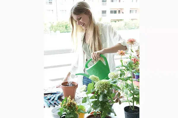 El proceso de descomposición dura unos 4 meses, un poco menos si es verano y más si es invierno