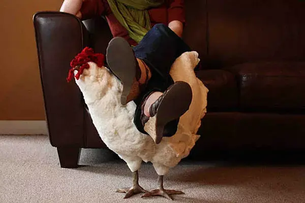 ¡Muy loco encontrarse con una gallina en medio de tu living! Esta banqueta-gallina de fieltro es una propuesta muy original para descansar apoyando tus pies