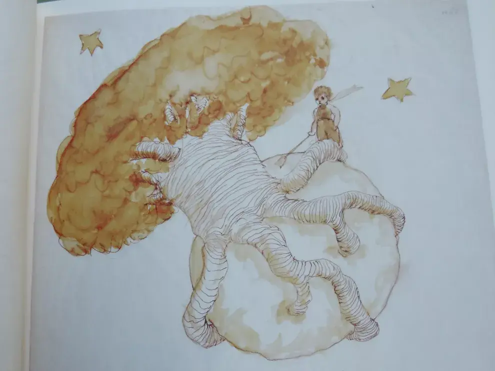 Un baobab