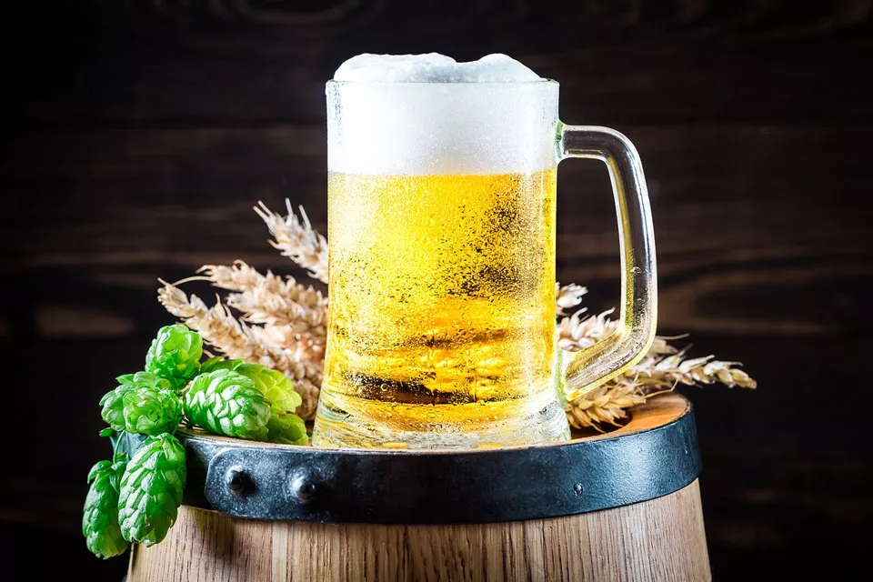 Agua, cebada, lúpulo y levadura son los ingredientes naturales de la cerveza. La cebada contiene fibras, carbohidratos y minerales