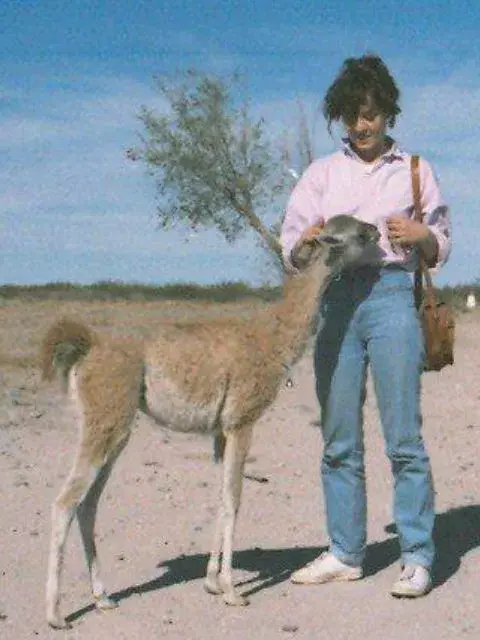 En la Patagonia