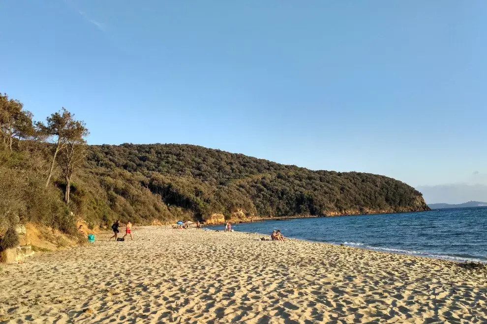 Cala Violina es uno de los mejores secretos que esconde la Toscana. ¡Playa de arena en el corazón de una reserva natural!