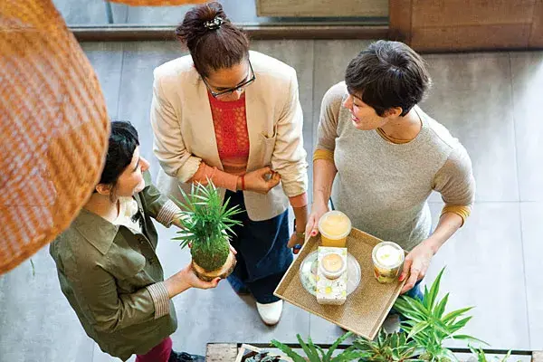 Volvé del almuerzo con algo verde para tu escritorio