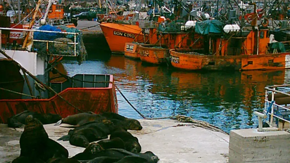 Banquina de pescadores
