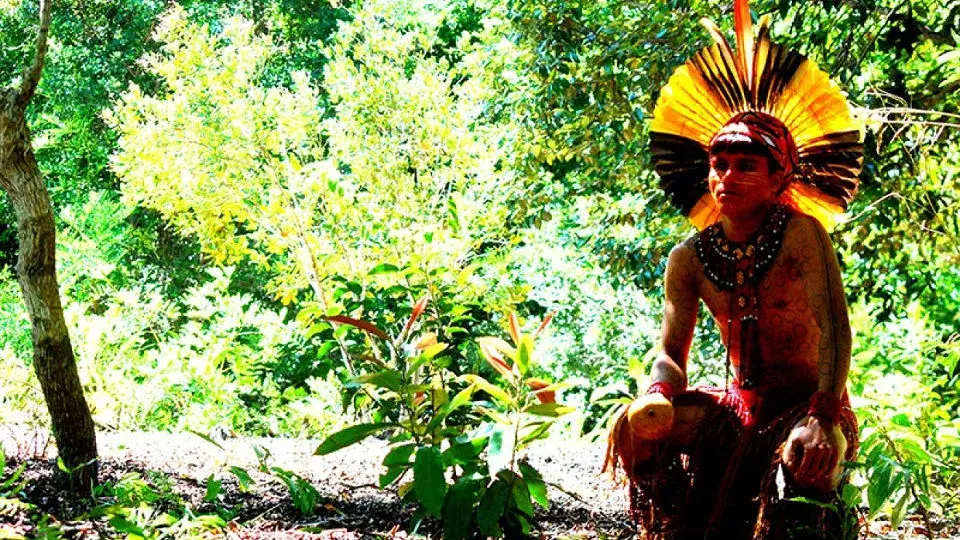 Reserva Indígena Pataxó da Jaqueira