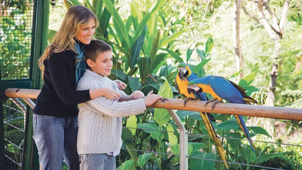 Vení a conectarte con la naturaleza en el bioparque Temaikèn