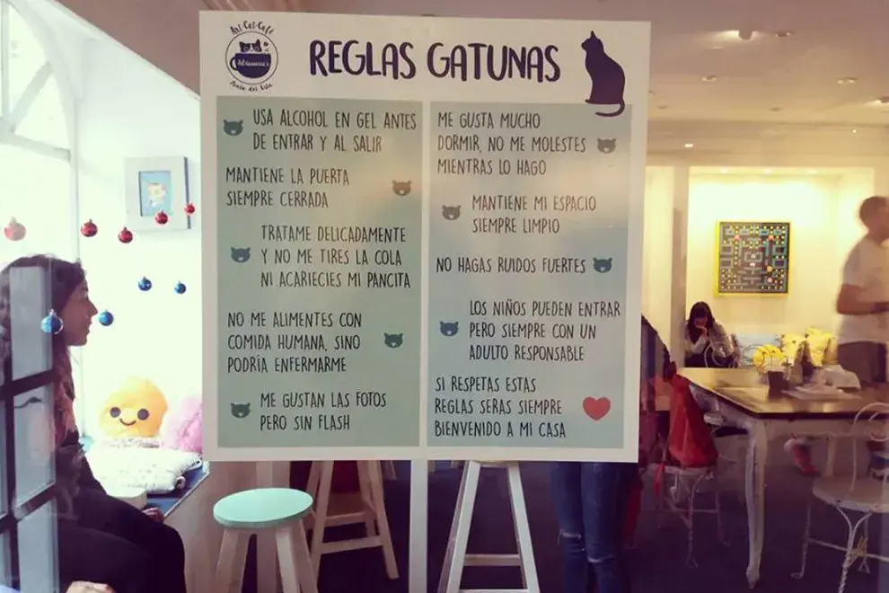 Las "reglas gatunas" protegen el bienestar de los animalitos dentro del café