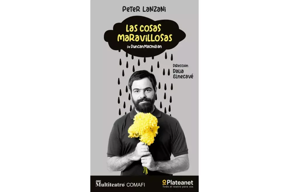 Afiche promocional de Las Cosas Maravillosas