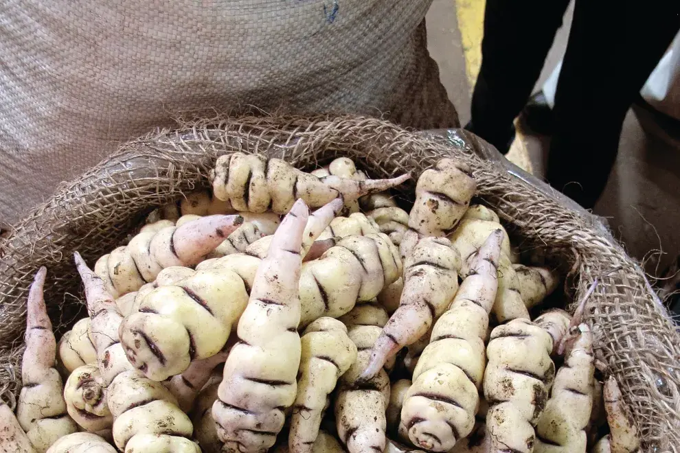 Más exquisiteces del mercado Paloquemao