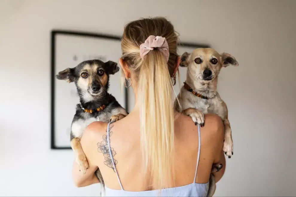 Dora (izquierda) y Valentina (derecha) están sanas y muy mimadas por su mamá humana. Foto: @somosamico