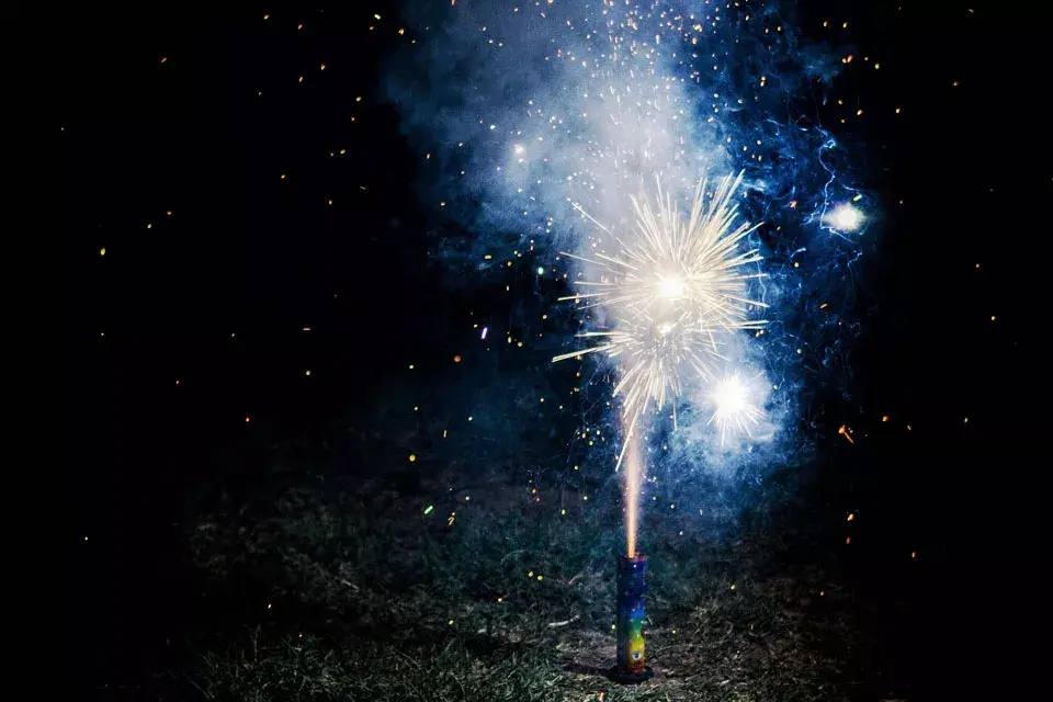 Los fuegos artificiales son muy lindos, pero nada amigables con los animales