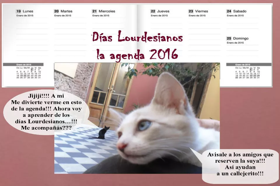 Está a la venta la agenda Lourdesiana 2016. Foto: Hogar de Rescate y Protección Lourdes.