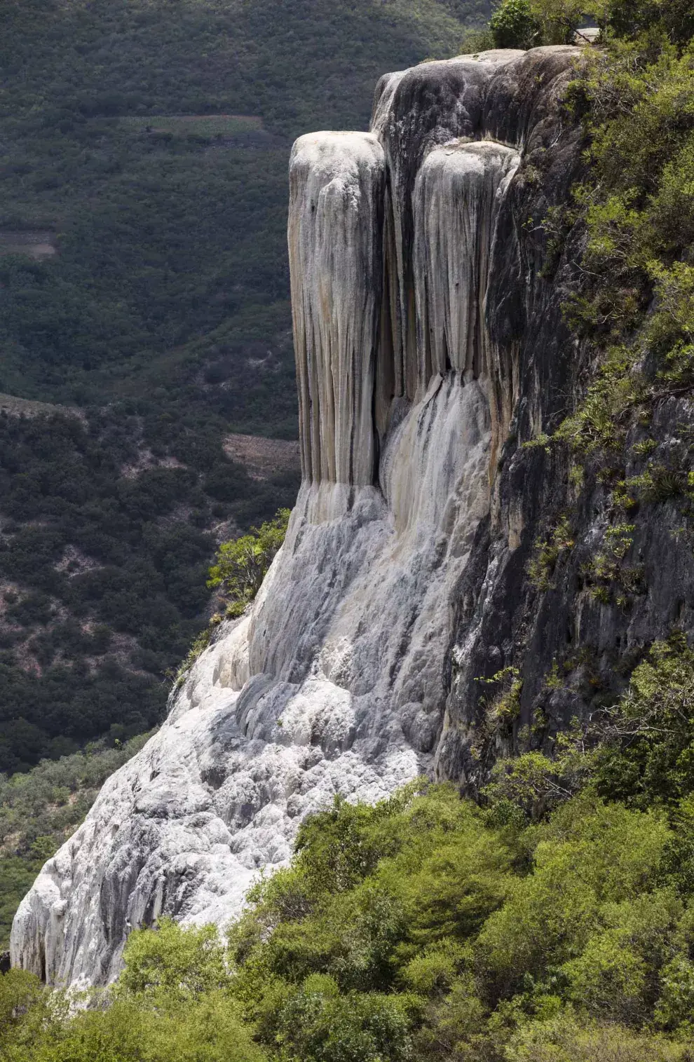 Al brotar de la montaña, el agua se calcifica y parece cera derretida