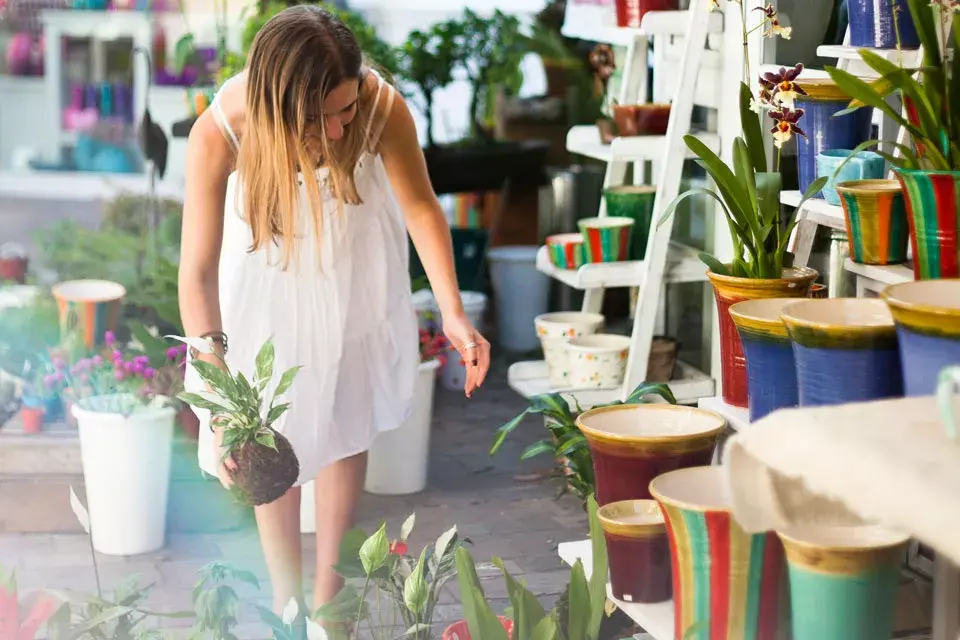 Boutique de plantas y flores, pero también cuenta con toda la deco para armar un lindo jardín
