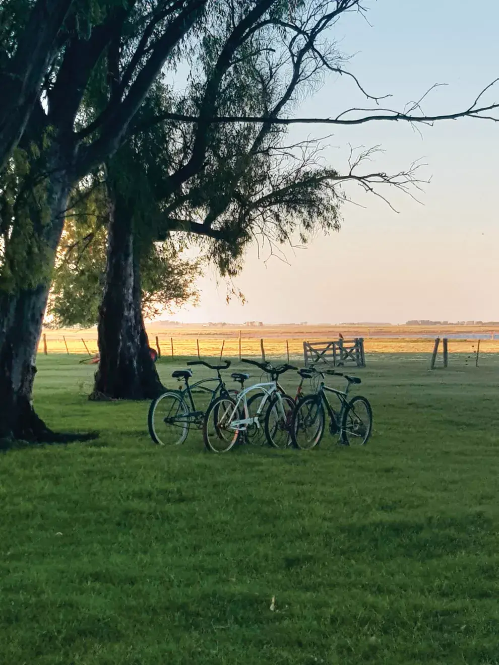 En Guaminí podés hacer desde paseos en?kayaks, recorridas en bicicleta y caminatas guiadas hasta?safari fotográfico.