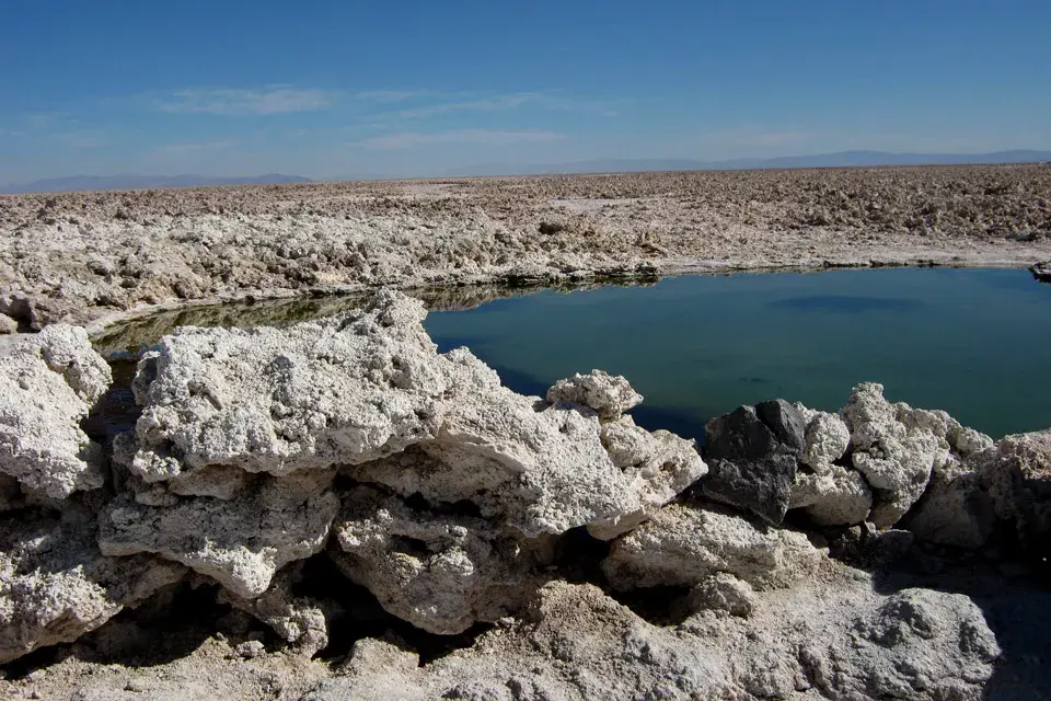 Lalaguna Chaxa, en el salar de Atacama