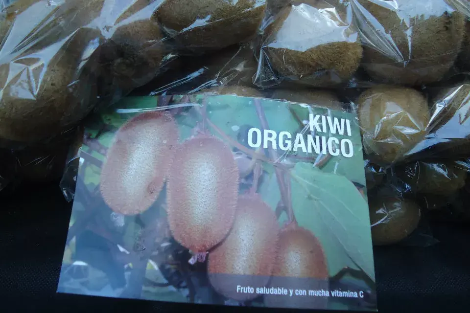 Encontré los kiwis deliciosos de Mercedes. El establecimiento se llama Kiwi y Champignon