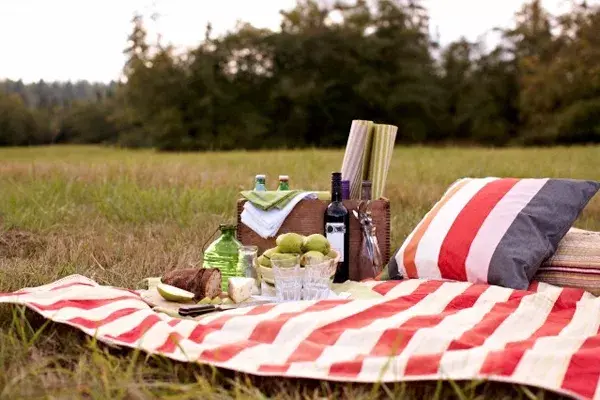 Elegí los colores y la estética de tu picnic