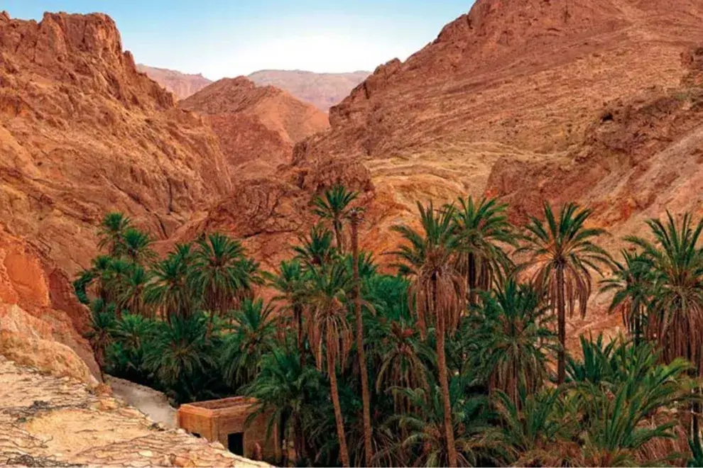 Un oasis en medio del Sahara