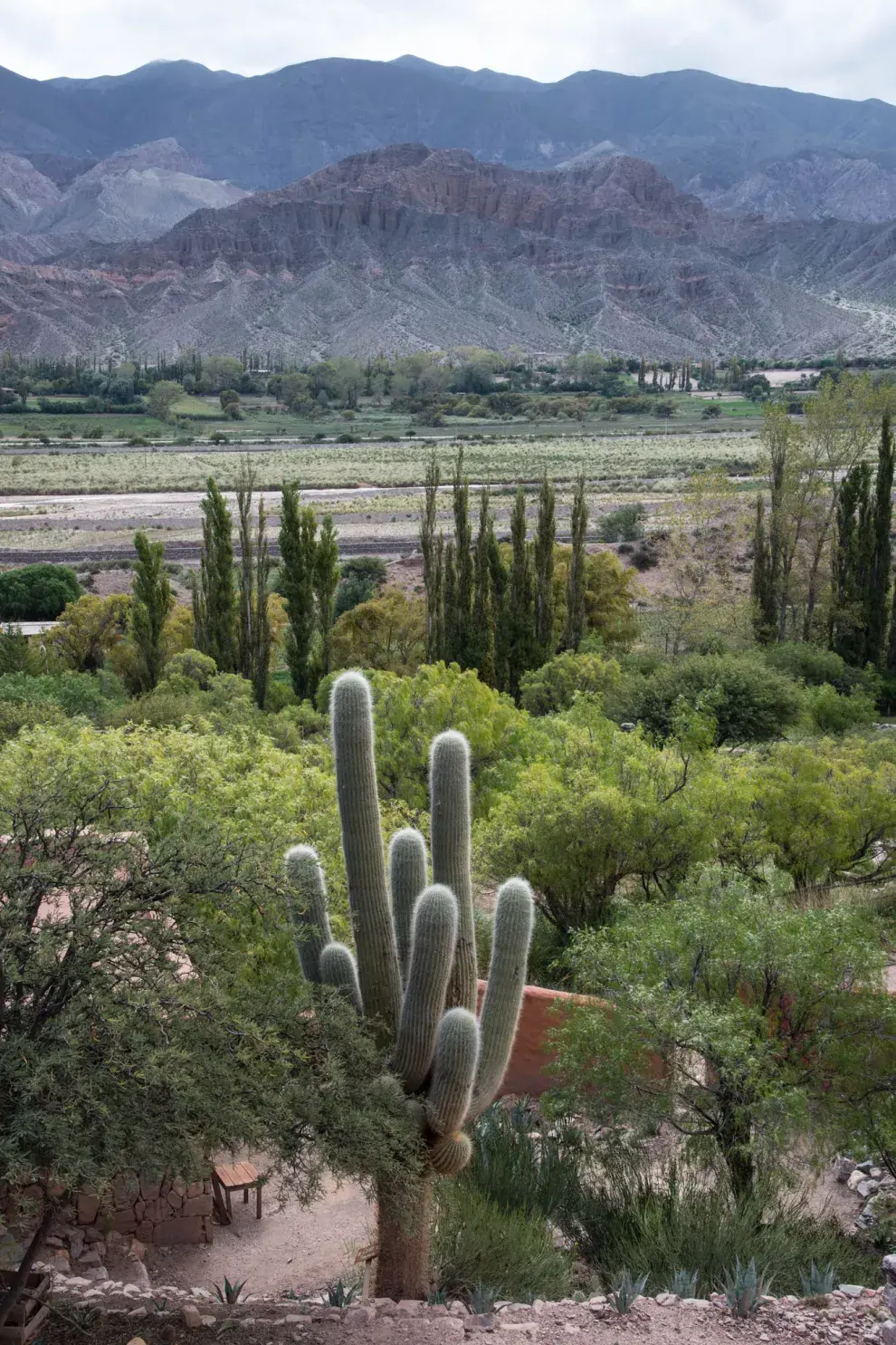 Revista Jardín