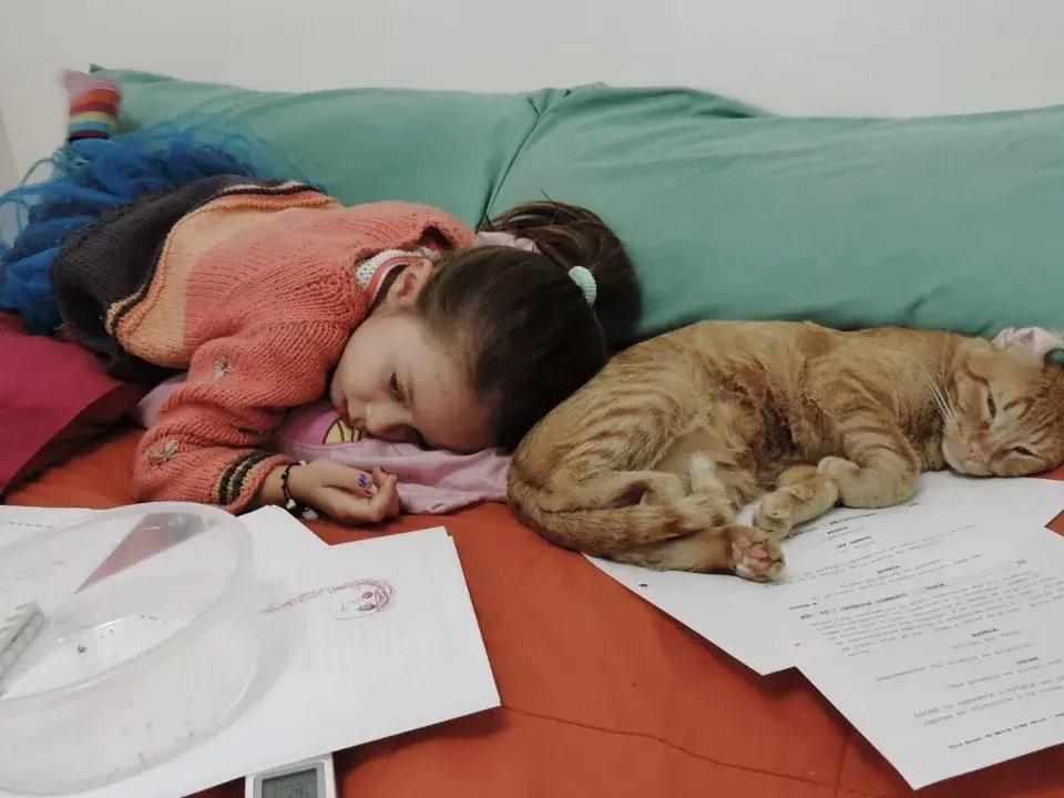 Cama y guión intervenidos por niña (que mira tele) y gato