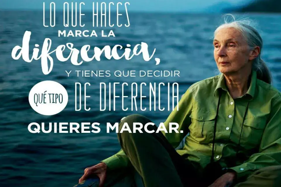 Jane Goodall en Argentina http://www.janegoodall.com.ar/
