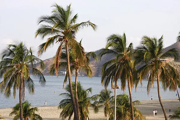 Palmeras y sol en las playas de Santa Marta