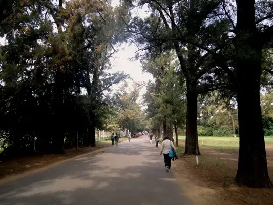 Camino verde. Facultad de Agronomía de la UBA