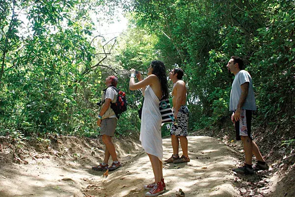 Pura selva en el Parque nacional Tayrona