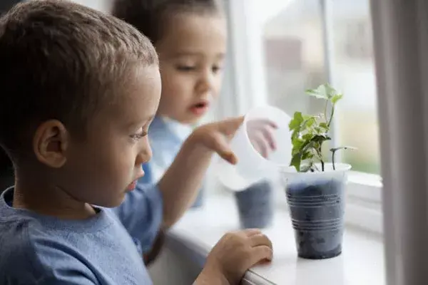 Experimentos con plantas y germinaciones ayudan a aprender a valorar la importancia del medio ambiente