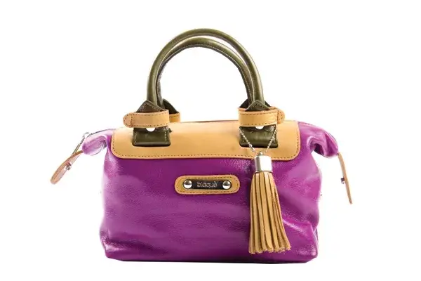 Baúl bicolor (Blaqué, $629)