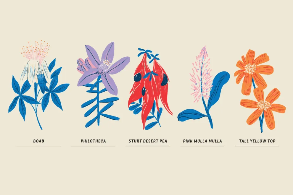 Las diferentes flores de bush.