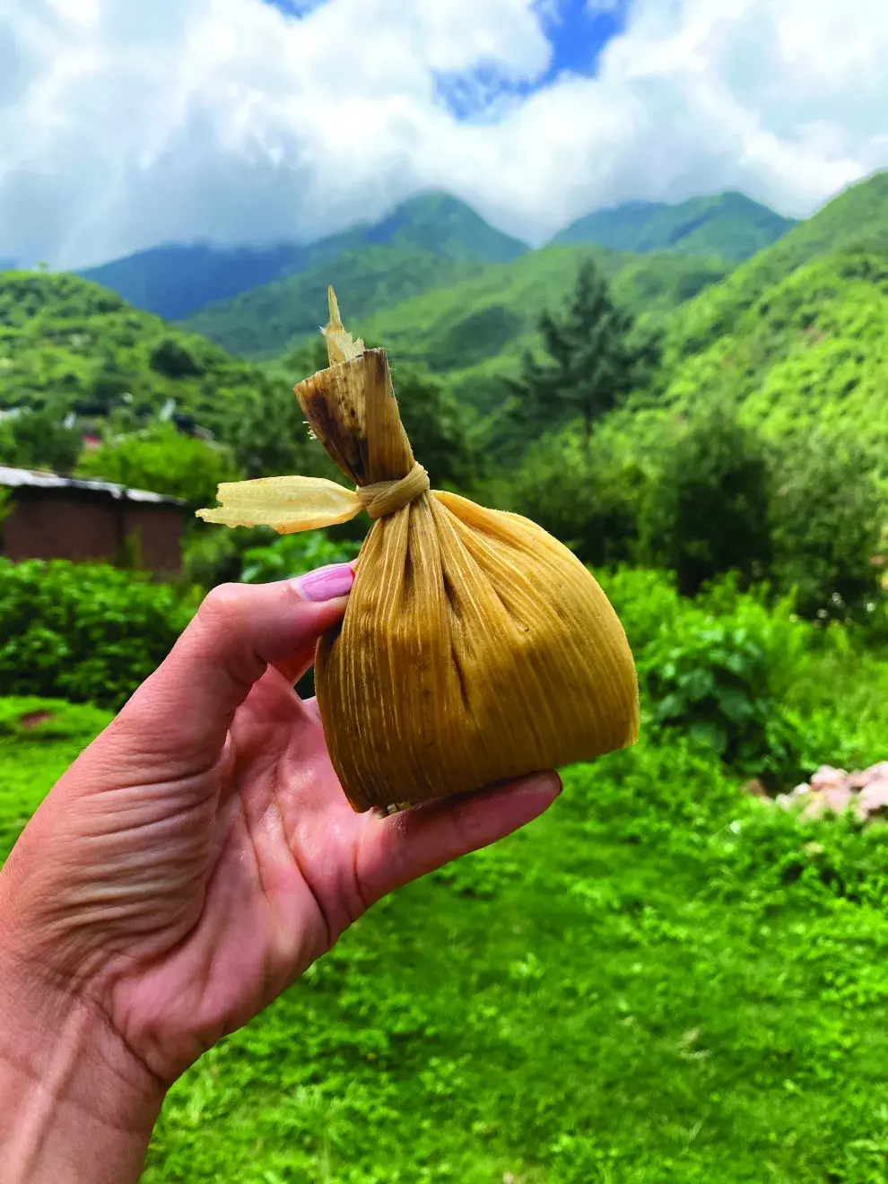 Para comer delicias típicas: que no te falten las humitas, los tamales ni las empanadas